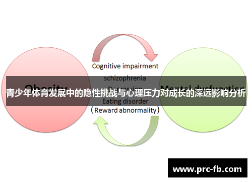 青少年体育发展中的隐性挑战与心理压力对成长的深远影响分析 青少年体育发展中的隐性挑战与心理压力对成长的深远影响分析
