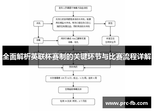 全面解析英联杯赛制的关键环节与比赛流程详解 全面解析英联杯赛制的关键环节与比赛流程详解