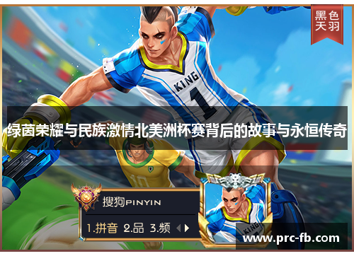 绿茵荣耀与民族激情北美洲杯赛背后的故事与永恒传奇