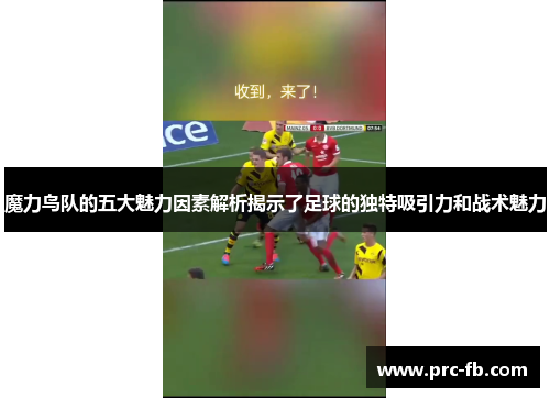 魔力鸟队的五大魅力因素解析揭示了足球的独特吸引力和战术魅力