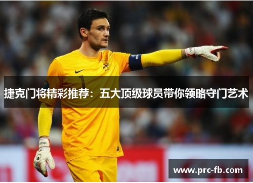 捷克门将精彩推荐：五大顶级球员带你领略守门艺术