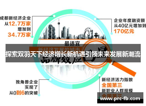 探索双羽天下经济增长新机遇引领未来发展新潮流